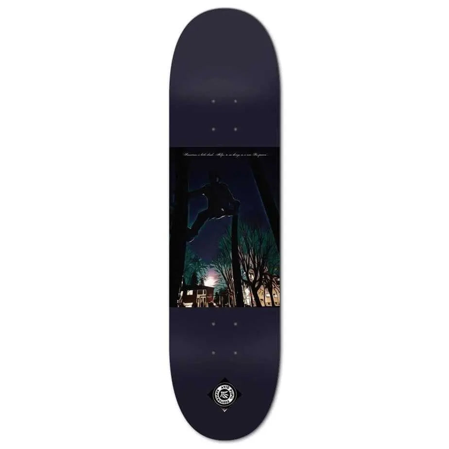 Perspective - www.avidpupilskateboards.com